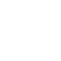 Mortgage Loans